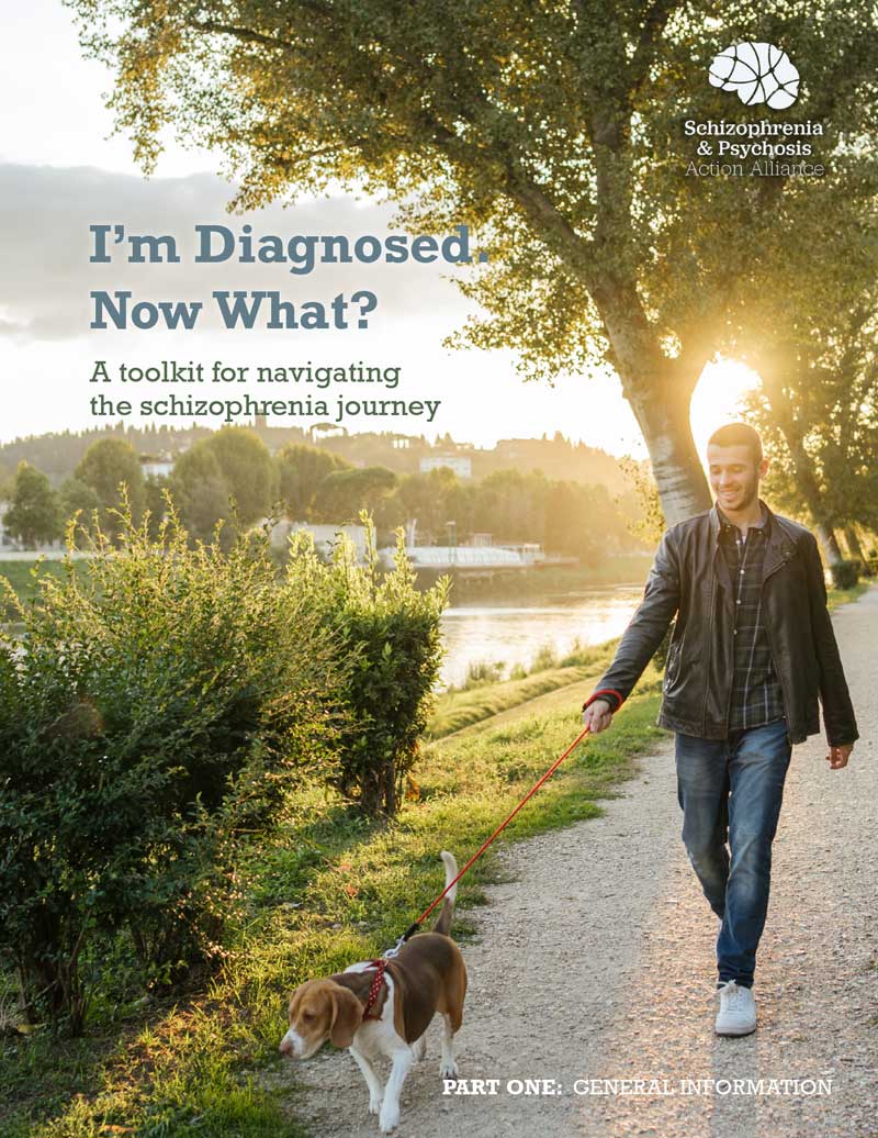 I'm Diagnosed, Now What? A toolkit for navigating the schizophrenia journey - cover image